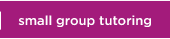 small group tutoring